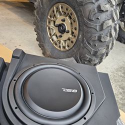 Ds18 Can Am X3 Subwoofer 