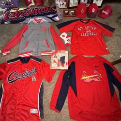 Cardinals lot