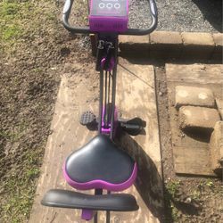 Flex Bike Ultra  And Sunny Health And Fitness Step