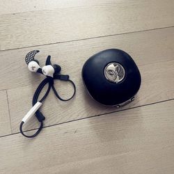 Jaybird Bluebuds X Bluetooth Headphone