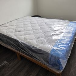 Single Twin Mattress 99 Full Double 159 Queen Bed 179 King 229 California King 229 Frame 69 XL Twin Mattresses All Sizes Available Same Day Delivery 