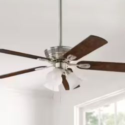 Ceiling Fan 
