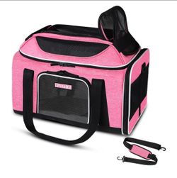 Pet carrier airline approved
