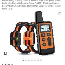 Dog Training Collar