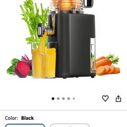 Masticating Juicer Large Feed Chute