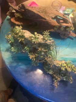 Aquarium decorations