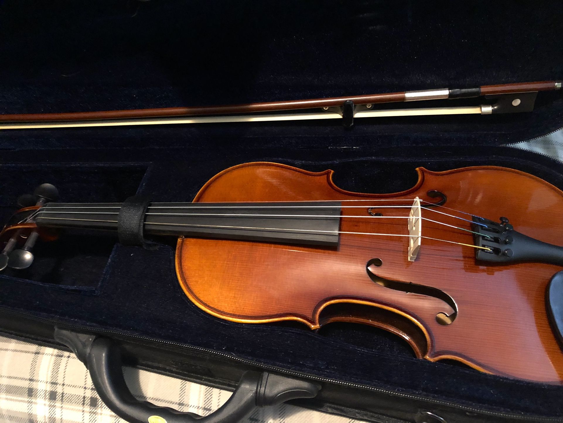 Gorgeous Violin