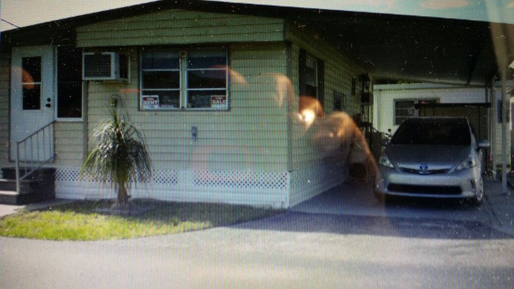 Mobile Home