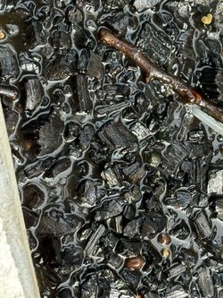 CHARGED BioChar for Plants.