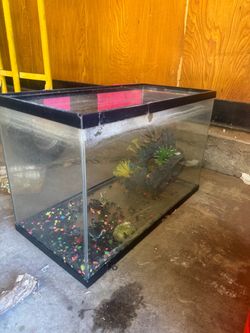 Fish tank
