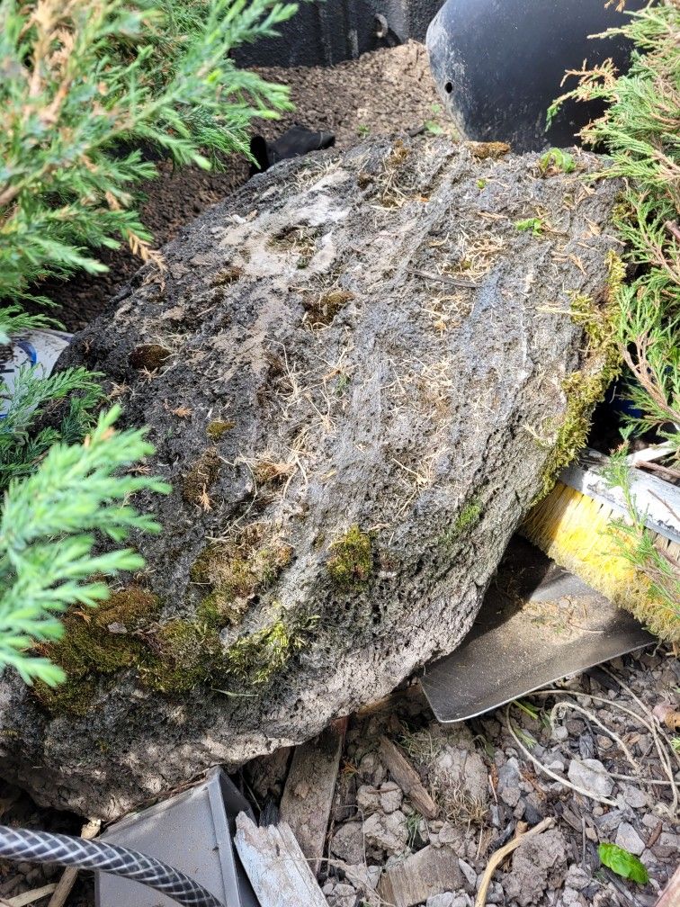 Lava Rock Boulders.. About 36" In Size Could Use A Good Cleaning But Great Shape $60 For Both