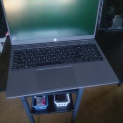 HP 255 G10  Laptop 