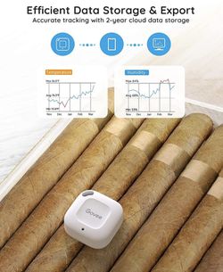 Govee - Termómetro higrómetro WiFi, sensor de temperatura de humedad  inteligente con alerta de notificación de aplicaciones, 2 años de  exportación y