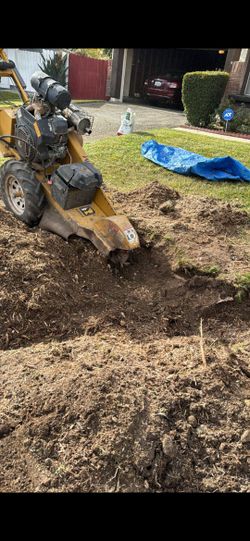 Stump Removal