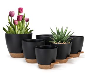 Self Watering Planters 