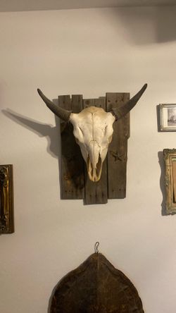 Buffalo Skull