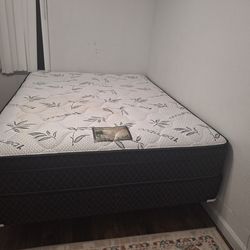 Branded queen bed +matress+spring box , used just 6 months but in new and good condition