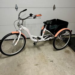 Schwinn adult beach cruiser