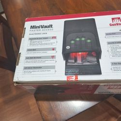 Mini Vault Gun Vault