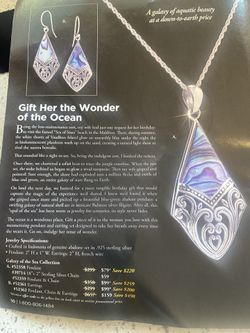 Stauer Pendant & Chain