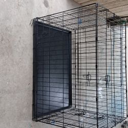 Dog Cage