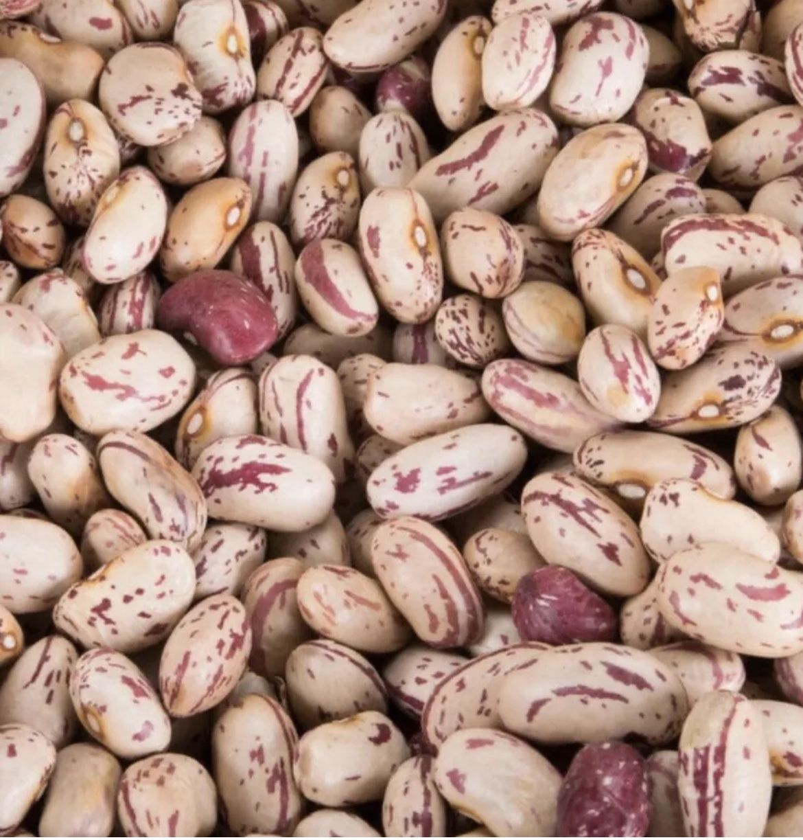 Dried Cranberry Beans 2 Pounds $7 Buy More Save More