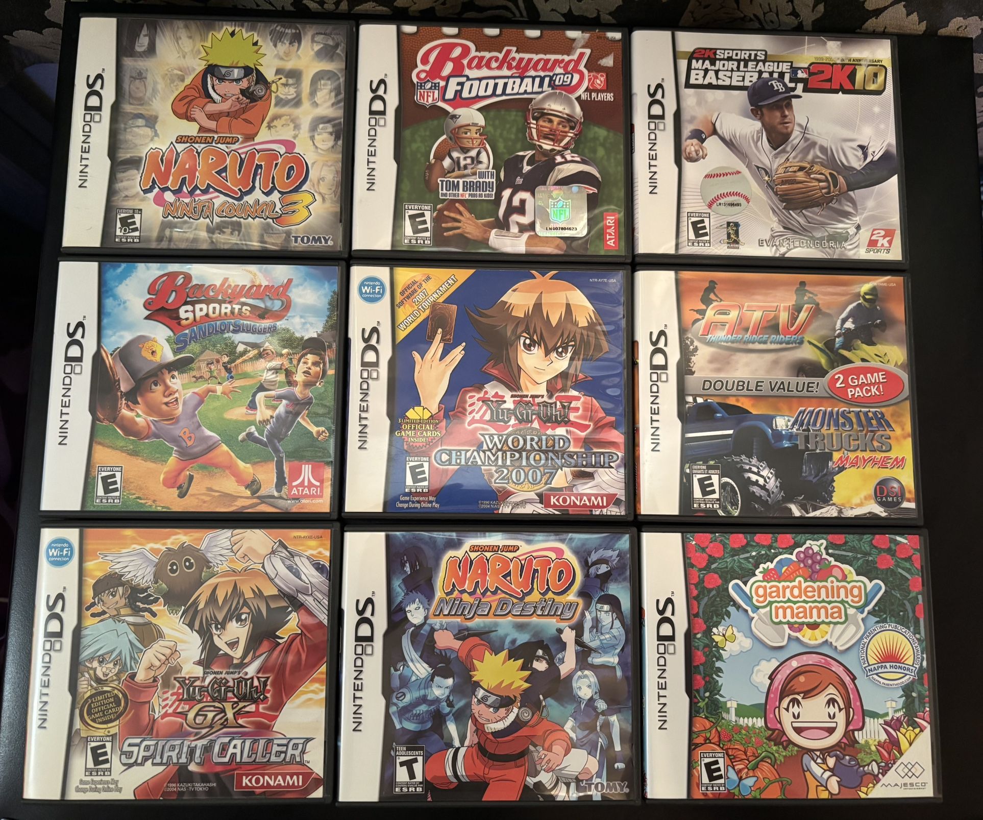 Nintendo DS Game Bundle
