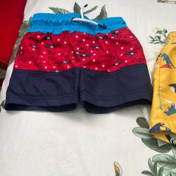 Swimming Shorts