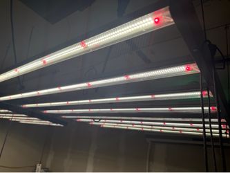 Gavita  1650e LED  pro .  800 or best offer for all 6