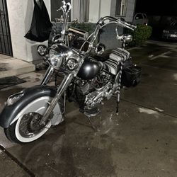 Indian Chief