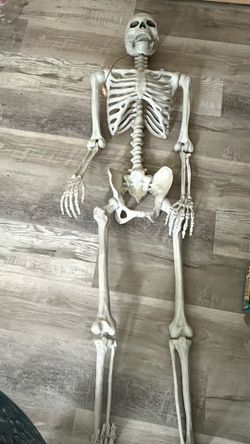 Animated 5 foot skeleton