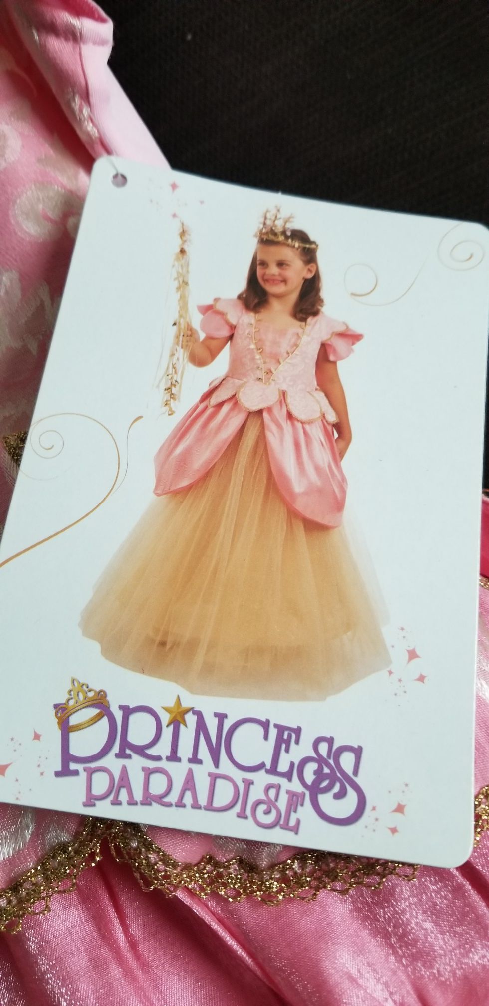 Children's size 10 Brand New in package, never worn Pocket Princess costume; Premium / Deluxe