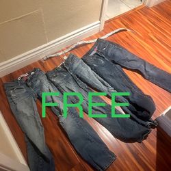 FREE
