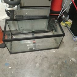 Fish Tank 
