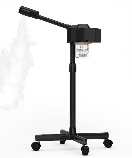 professional portable facial steamer