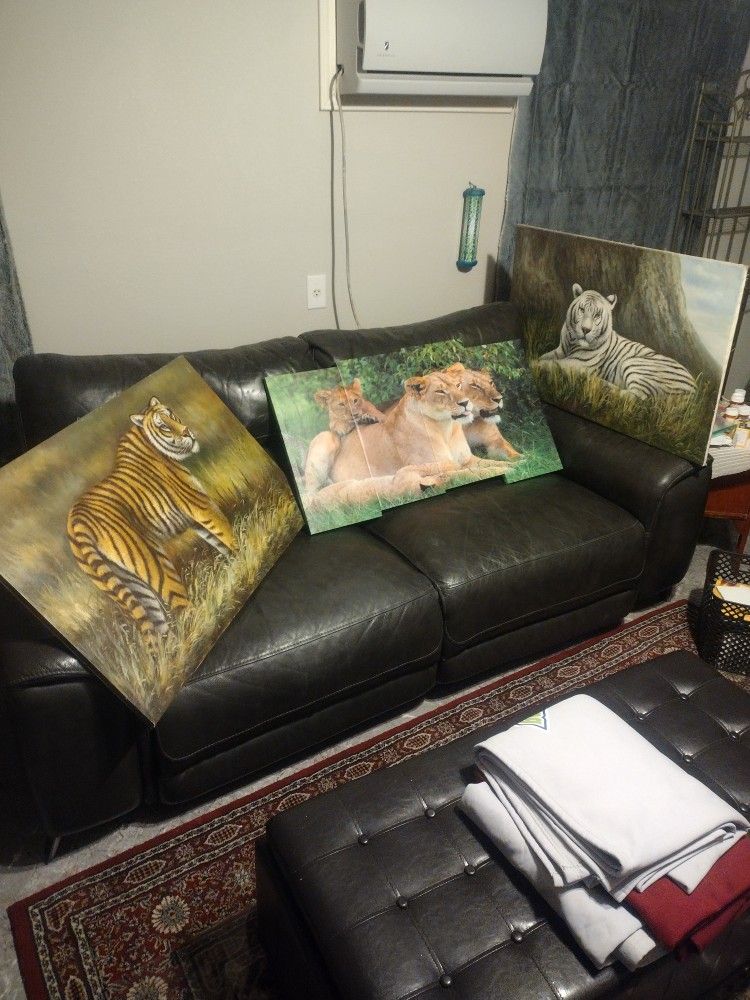 NICE BEAUTIFUL LION PICS