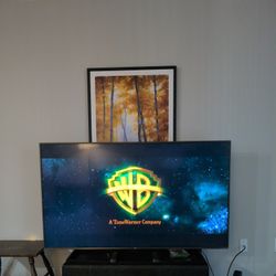 LG 75 Inch TV 