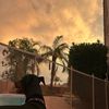 Mia