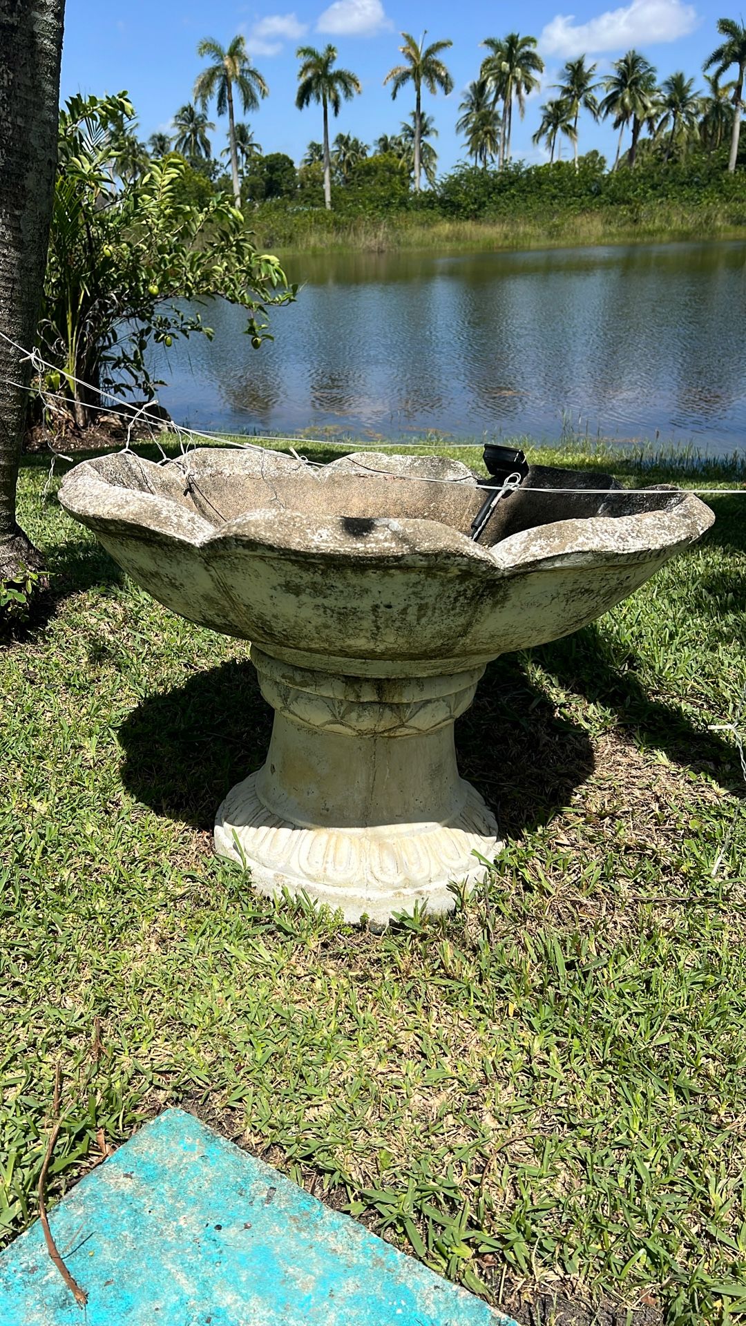 CONCRETE BIRD BATH.