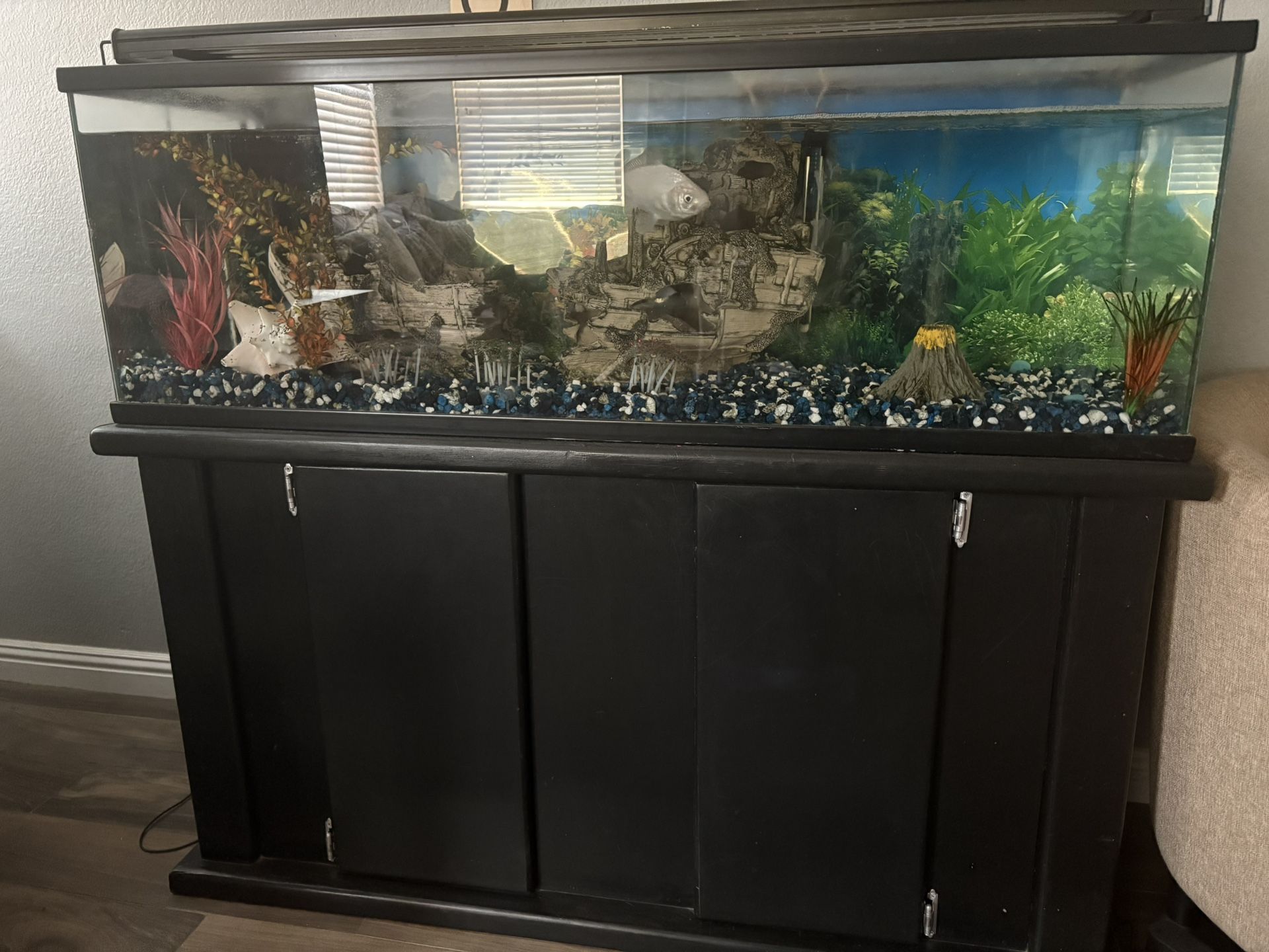 Fish Tank