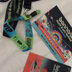 Bonnaroo Wristband 
