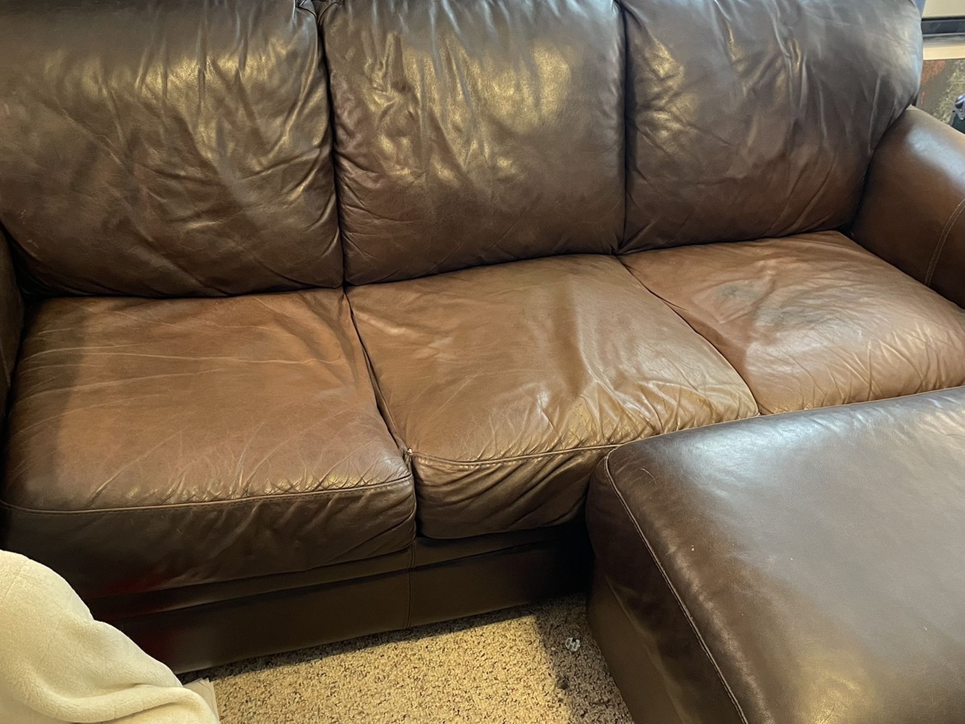 Leather Sleeper Sofa