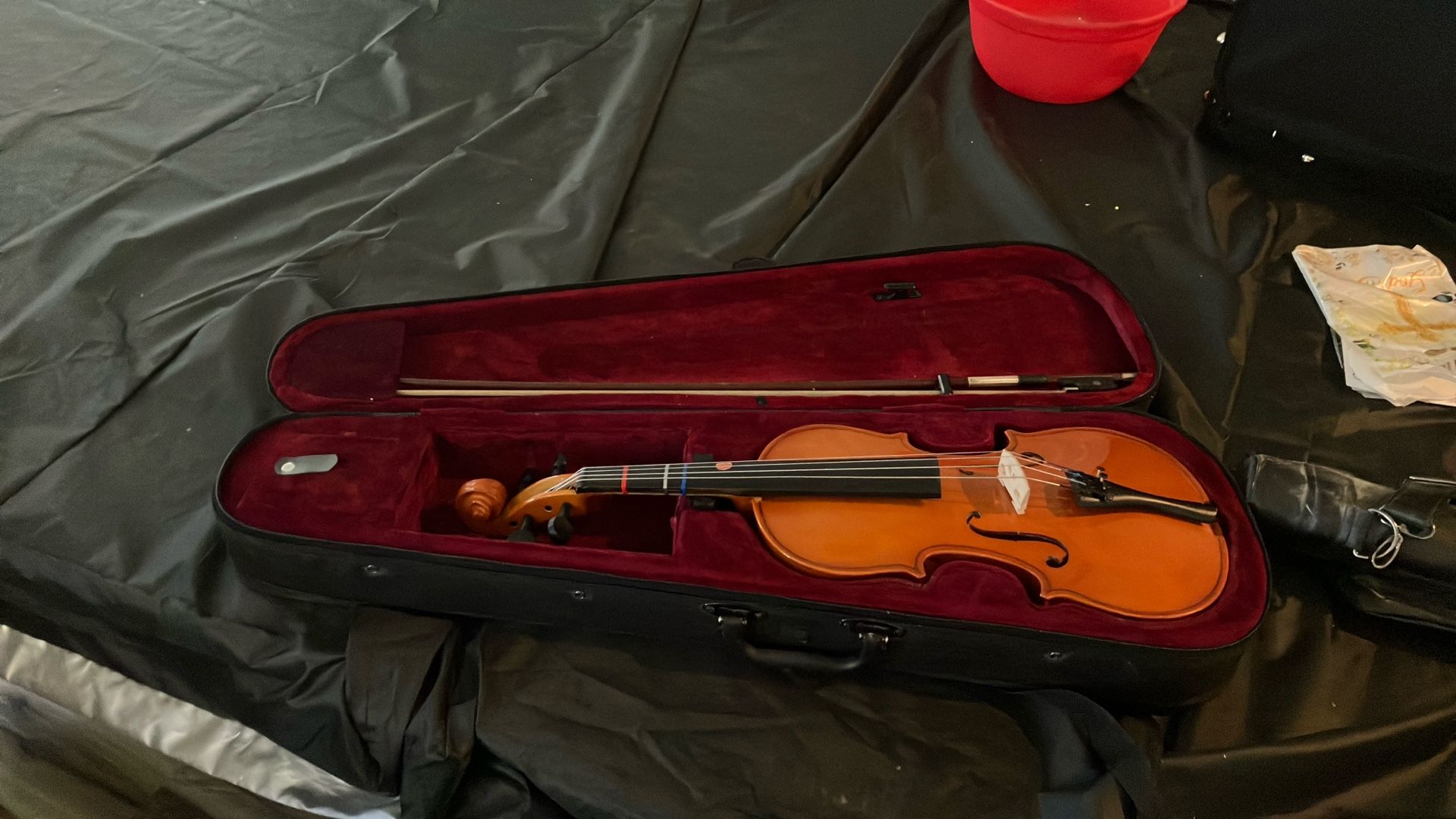 Little Viola