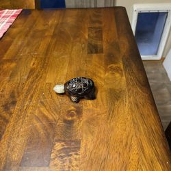 Vintage AVON USA Turtle Perfume Cologne Glass Decanter Bottle Empty