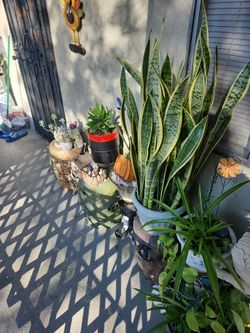 Sale Sale Sale Everything Is For Sale 