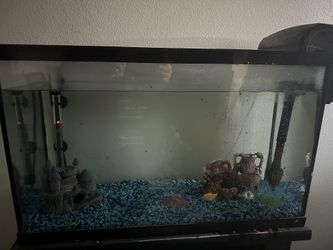 Fish Tank