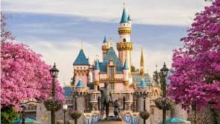 Disneyland Tickets expire on Jan 9th not a hopper ticket