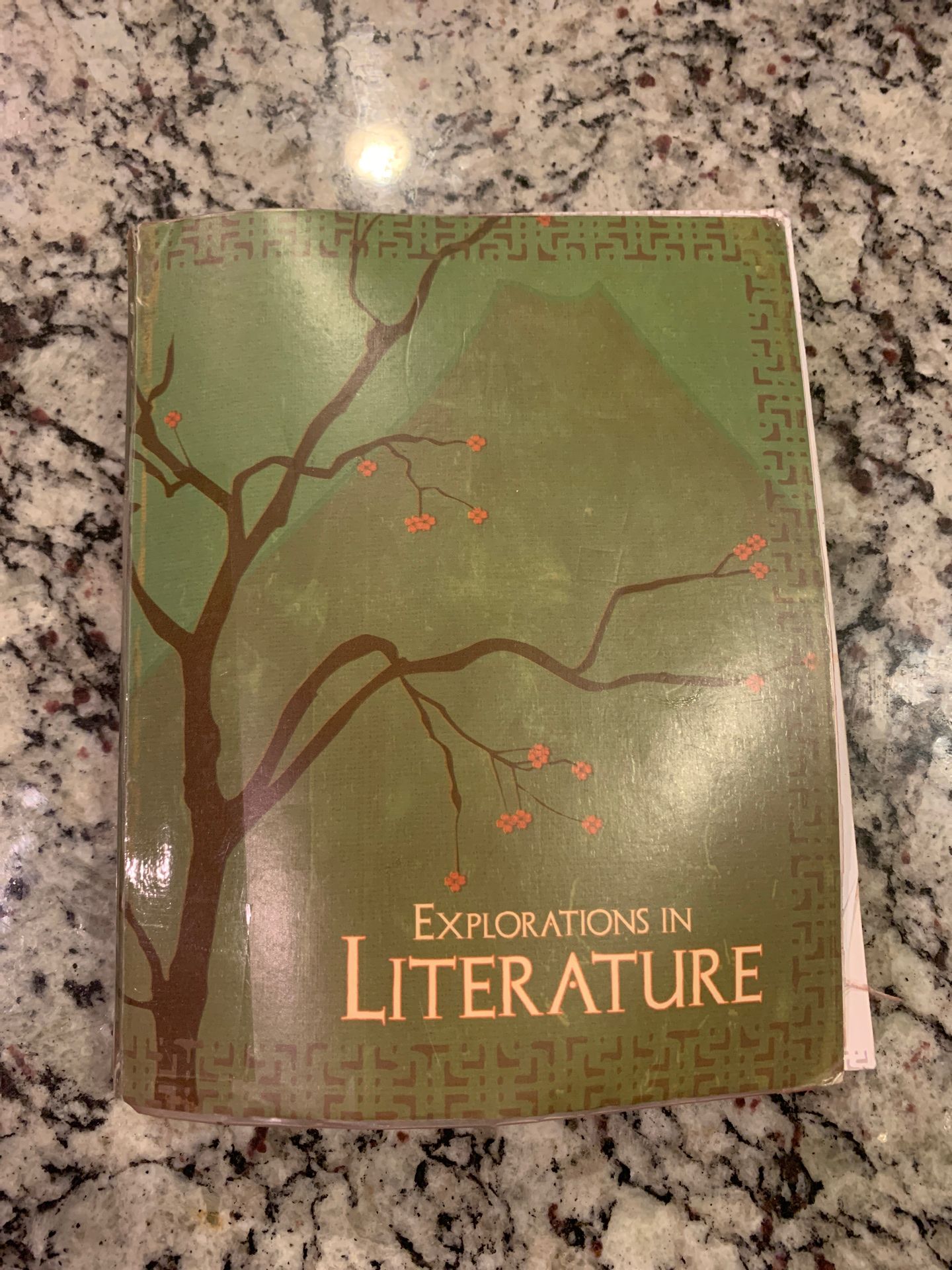 2 Literature textbook BYU-Great Condition