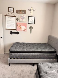 Mattresses / box springs / all sizes / all new / $10 takes it home