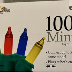 Indoor/Outdoor Lights 100ct